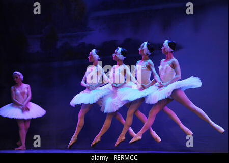 Hefei, China. 23 Jan, 2019. Die Menschen genießen das Ballett Tanz Schwanensee durchgeführt durch das Russland Tschaikowsky Ballett in Hefei, Provinz Anhui im Osten Chinas. Credit: SIPA Asien/ZUMA Draht/Alamy leben Nachrichten Stockfoto