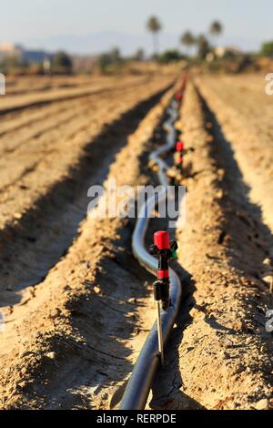 Sprinkler auf einer Bewässerung Rohr, ausgetrockneten Boden, Almeria, Andalusien, Südspanien, Spanien Stockfoto