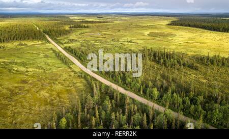 Drone, Luftbild, Kies Straße verläuft diagonal durch borealen, Arktis Wald mit Kiefern (Pinus) in Feuchtgebieten, Moor Stockfoto