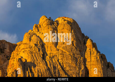 Morgen Licht auf Berg im Red Rock Canyon National Conservation Area. Eine beliebte Natural Area 20 Meilen von Las Vegas, Nevada. Stockfoto