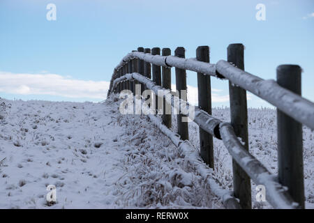 Winter Wonderland außerhalb von Calgary in -30 Grad nach einem Schneefall. Stockfoto