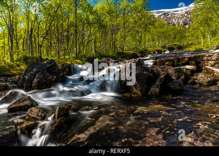 Turbulenter Fluss unter Felsbrocken in einem Tal mit Birken unter einem blauen Himmel überwuchert. Norwegen, Saltfjellet. Stockfoto