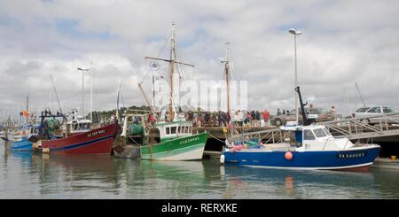 Angeln Hafen von La Trinité-sur-Mer, Morbihan, Bretagne, Frankreich, Europa Stockfoto