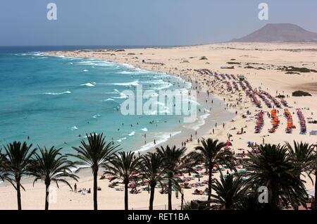 Strand mit Dünen und Urlauber, Grandes Playas, in der Nähe von Corralejo im Norden der Insel Fuerteventura Stockfoto