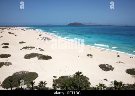 Strand mit Sand Dünen, Grandes Playas, in der Nähe von Corralejo im Norden der Insel Fuerteventura, Kanarische Inseln, Spanien, Europa Stockfoto