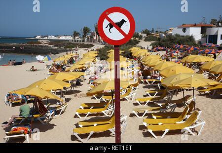 Strand mit einem Keine Hunde erlaubt Zeichen in Corralejo, Fuerteventura, Kanarische Inseln, Spanien, Europa Stockfoto