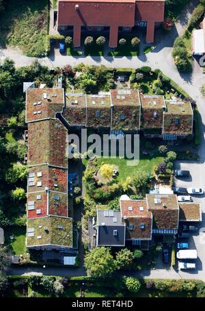 Begrünte Dächer von one-Familie Häusern und Mehrfamilienhäusern, Immobilien, Münster, Nordrhein-Westfalen Stockfoto