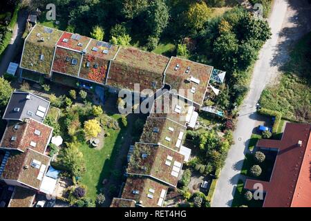 Begrünte Dächer von one-Familie Häusern und Mehrfamilienhäusern, Immobilien, Münster, Nordrhein-Westfalen Stockfoto