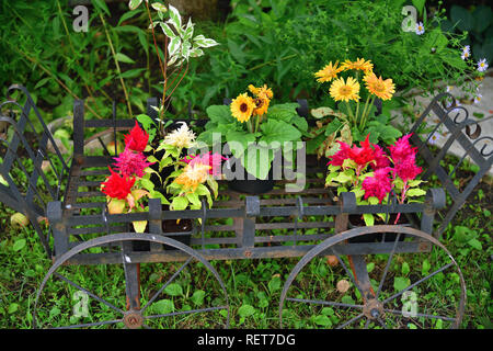 Blumen in Töpfe auf Stand in Form einer Warenkorb Stockfoto