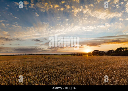 In der Nähe von Caistor, Lincolnshire, Großbritannien, Juli 2017, Ansicht von Lincolnshire Wolds und einen Sonnenuntergang Stockfoto