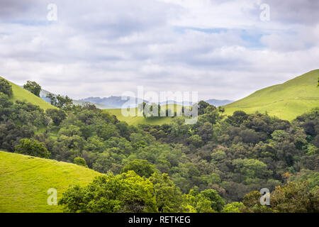 Grüne Tal in Sunol regionale Wildnis an einem bewölkten Tag, San Francisco Bay Area, Alameda County, Kalifornien Stockfoto