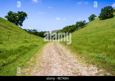 Trail in Sunol regionale Wildnis, Osten San Francisco Bay Area, Kalifornien Stockfoto