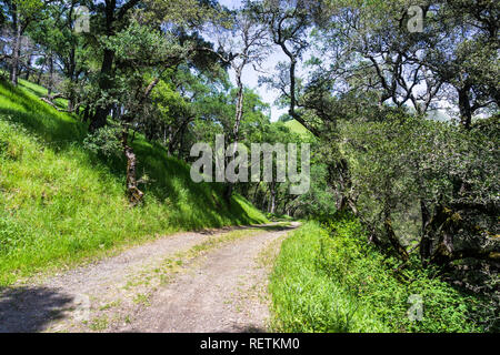 Trail in Sunol regionale Wildnis, Osten San Francisco Bay Area, Kalifornien Stockfoto