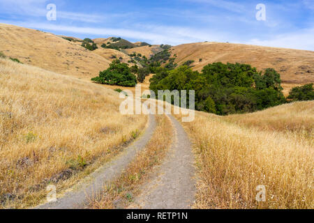 Wanderweg zwischen Hügeln und Tälern in trockenem Gras und Eichen bedeckt, South San Francisco Bay Area, San Jose, Kalifornien Stockfoto