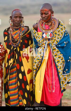 Masai Nomadin, Masai Mara, Kenia, Ostafrika Stockfoto