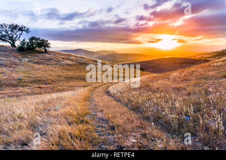 Wanderweg auf dem grasbewachsenen Hügeln von South San Francisco Bay Area bei Sonnenuntergang, San Jose, Kalifornien Stockfoto