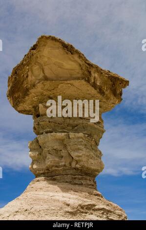 El Hongo, der Pilz, Ischigualasto, Valle de la Luna, das Tal des Mondes, UNESCO-Weltkulturerbe, el gusano Stockfoto