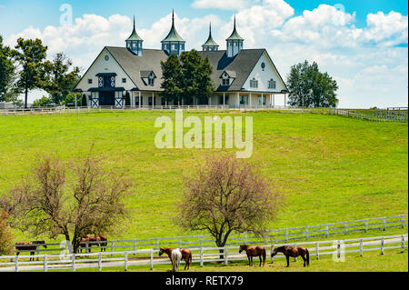 Manchester Scheune in Lexington Kentucky, am meisten fotografierte Scheune in Kentucky Stockfoto