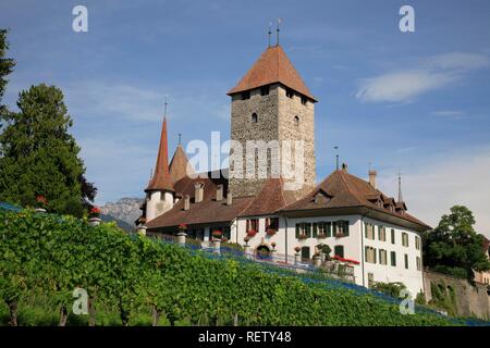 Spiez Schloss in Spitz durch den Thunersee, Niedersimmental, Kanton Bern, Schweiz, Europa Stockfoto