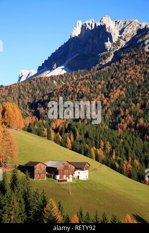 Passo delle Erbe, Mountain Pass in Villnöss Tal, Bozen, Italien, Europa Stockfoto