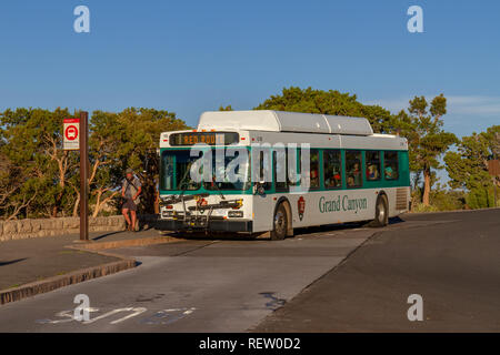 Der Grand Canyon South Rim Shuttle Bus Stop am Mohave Point, Grand Canyon National Park, Arizona, USA. Stockfoto