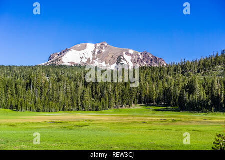 Lassen Peak hinter einer grünen Wiese und einem Pinienwald sichtbar, Lassen Volcanic National Park, Kalifornien Stockfoto