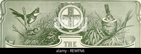 . Der Ewu. Vögel - Zeitschriften; Vögel - Australasien Zeitschriften. Die Emu, Vol. XI. Platte XXVII.. yilT] HAlU ^i^i'JM ICH BIN^ ist. Bitte beachten Sie, dass diese Bilder sind von der gescannten Seite Bilder, die digital für die Lesbarkeit verbessert haben mögen - Färbung und Aussehen dieser Abbildungen können nicht perfekt dem Original ähneln. extrahiert. Australasian Ornithologists' Union; Royal Australasian Ornithologists' Union. Melbourne: Australasian Ornithologists' Union Stockfoto