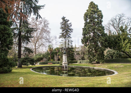 Real Jardin Botanico, Madrid, Januar 2019 Stockfoto