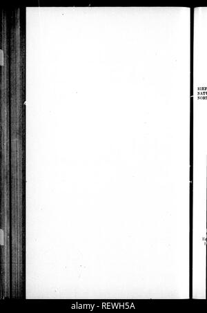 . Eine Flora im Nordwesten von Amerika [microform]: enthält kurze Beschreibungen aller bekannten einheimischen und eingebürgerten Anlagen ohne Anbau nördlich von Kalifornien wächst, westlich von Utah und im Süden von British Columbia. Botanik; Phanerogamen; Botanique; Phanérogames. . Bitte beachten Sie, dass diese Bilder sind von der gescannten Seite Bilder, die digital für die Lesbarkeit verbessert haben mögen - Färbung und Aussehen dieser Abbildungen können nicht perfekt dem Original ähneln. extrahiert. Howell, Thomas, 1842-1912. Portland, OR. : [S. n. ] Stockfoto