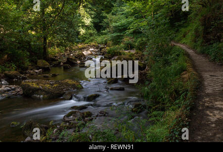 Wandern entlang der gewundenen Pfad durch den Stream Stockfoto