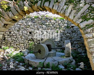 Alte Olivenbäume Mühle. Stockfoto