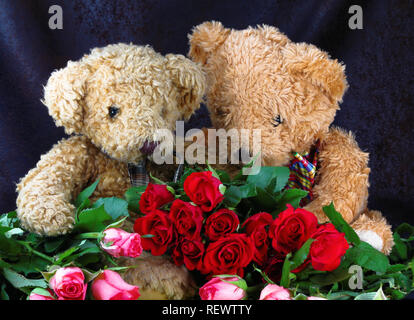 Strauß roter Rosen und paar Teddybären. Niedlichen Teddybären Paar mit Rosen. Happy Valentine's Day card. Romantische Grusskarten für Hochzeit Stockfoto