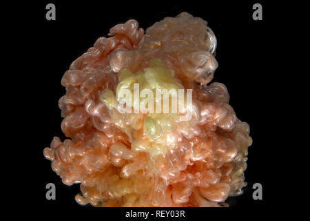 Gelb und rosa Farbe Tinte in Wasser auflösen. Stockfoto