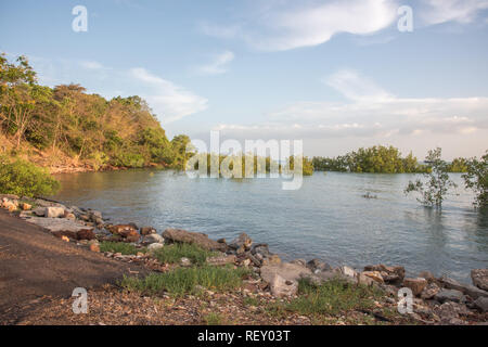 Die ​Timor Meer mit natürlichen Mangroven Lebensraum und Küsten Rock bei Dämmerung in Darwin, Australien Stockfoto