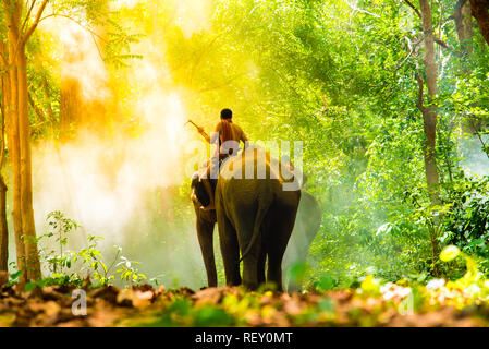 Elefant Verhältnis zwischen Mensch und Tier. Stockfoto