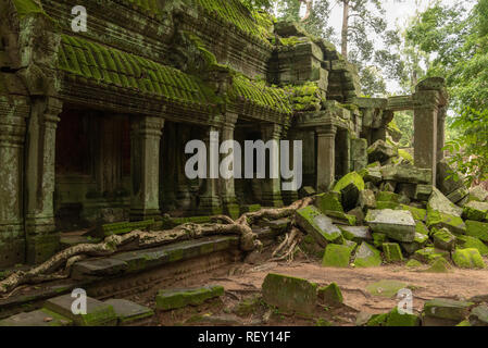 Tempel Kolonnade und gefallenen Felsen im Dschungel Stockfoto