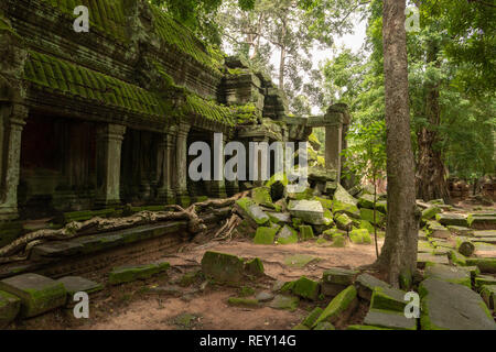 Tempel Kolonnade und gefallenen Felsen im Wald Stockfoto