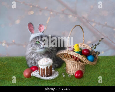 Junge Kitty in das Bild der Ester Bunny Stockfoto