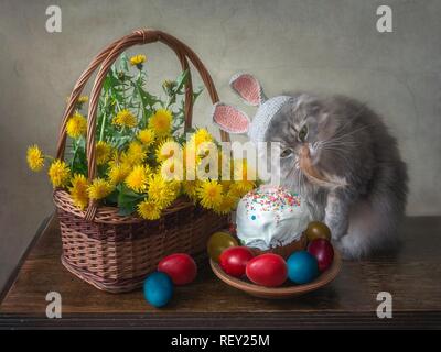 Junge Kitty in das Bild der Ester Bunny Stockfoto