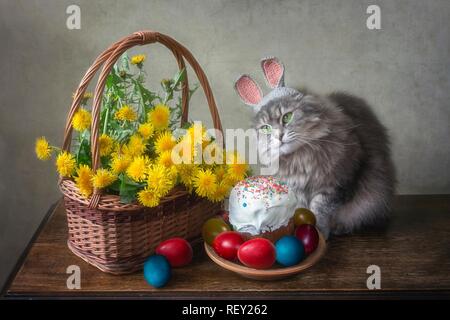 Junge Kitty in das Bild der Ester Bunny Stockfoto