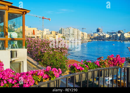 Die Küste der Tower Road ist mit hellen Blumen von Begonia in Töpfen und blühende Sträucher der Rhododendron eingerichtet, erstreckt sich entlang der Ufer, Malta. Stockfoto