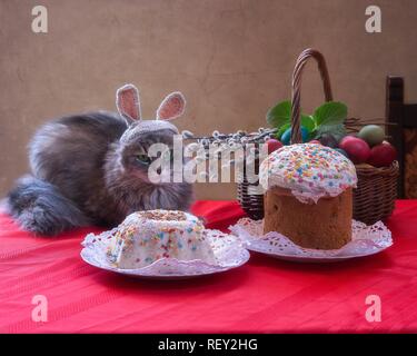 Junge Kitty in das Bild der Ester Bunny Stockfoto