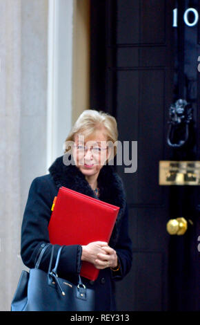 Andrea Leadsom MP (Con: South Northamptonshire) Führer des Unterhauses, 10 Downing Street nach einer Kabinettssitzung, 22.01.2019 Stockfoto