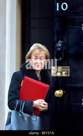 Andrea Leadsom MP (Con: South Northamptonshire) Führer des Unterhauses, 10 Downing Street nach einer Kabinettssitzung, 22.01.2019 Stockfoto