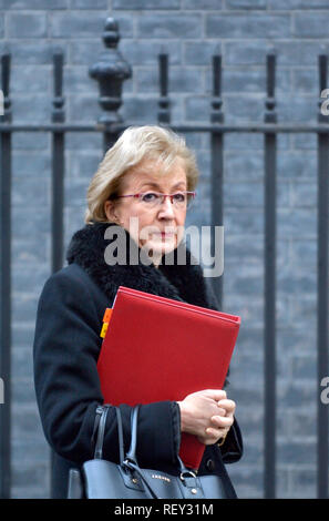 Andrea Leadsom MP (Con: South Northamptonshire) Führer des Unterhauses, 10 Downing Street nach einer Kabinettssitzung, 22.01.2019 Stockfoto