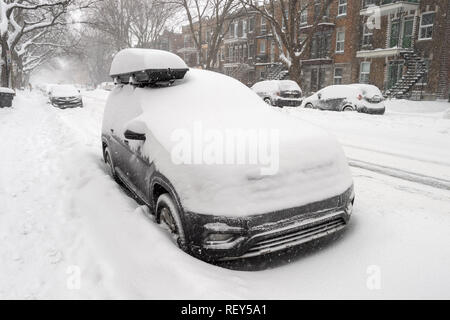 Autos mit Schnee bedeckt, während Schnee Sturm in Montreal, Kanada (2019) Stockfoto