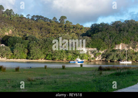 Landschaft und Meer in der Nähe von Whitianga Neuseeland Stockfoto