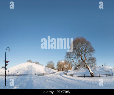 Altstadt (Gamla Uppsala Uppsala) Royal Grabhügel im Winter. Uppsala, Schweden. Skandinavien. Stockfoto