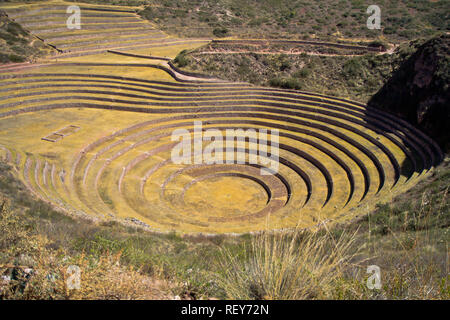 Muräne ist eine archäologische Stätte in Peru ca. 50 km nordwestlich von Cusco auf einem Hochplateau auf ca. 3500 m. Stockfoto