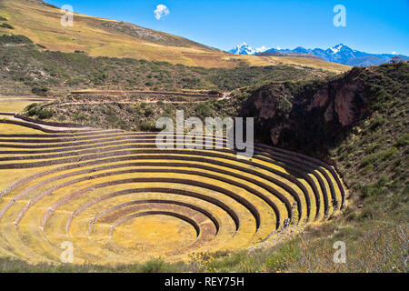 Muräne ist eine archäologische Stätte in Peru ca. 50 km nordwestlich von Cusco auf einem Hochplateau auf ca. 3500 m. Stockfoto